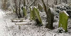 AFTER THE BALL - A Guided Tour of Abney Park's Music Hall Muses