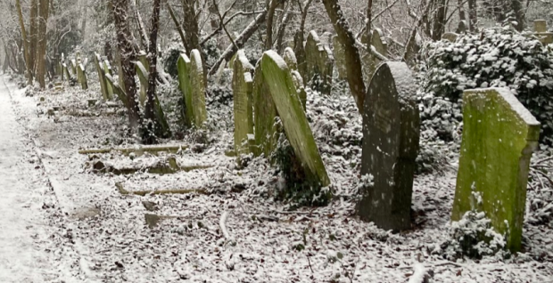 AFTER THE BALL - A Guided Tour of Abney Park's Music Hall Muses