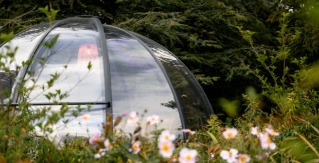 Afternoon Tea for 2 in dining pod