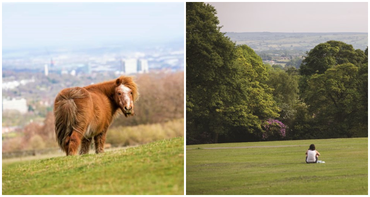 Sheffield Round Walk | DesignMyNight