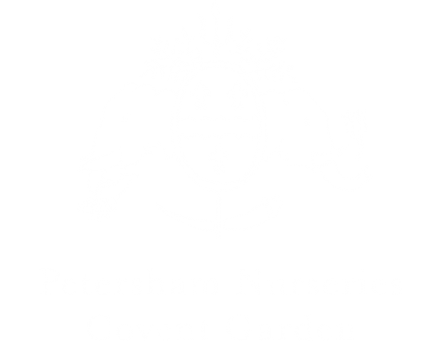 Petersham Nurseries Covent Garden Events