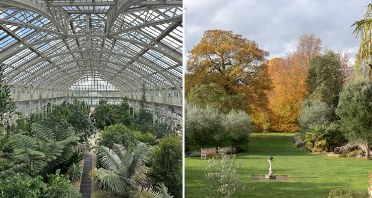 Kew Gardens.