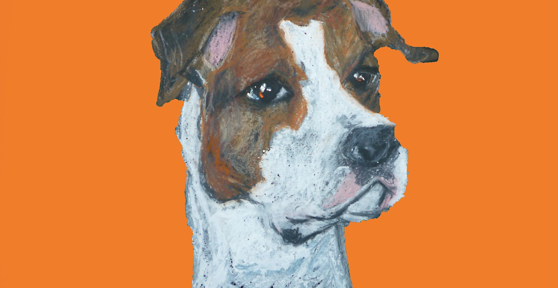 Doggy Afternoon Tea Paw-trait Experience