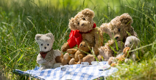 Little Bottles: Teddy Bear Picnic