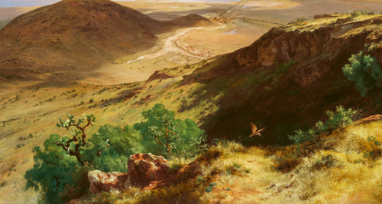 Painting of mexico by José María Velasco.