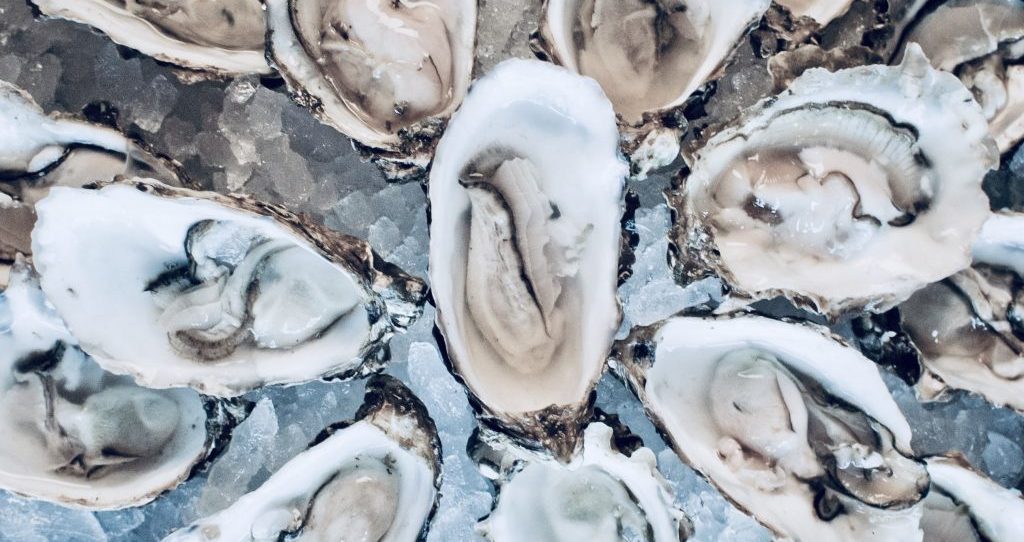 Oysters at the ship on the shore. 