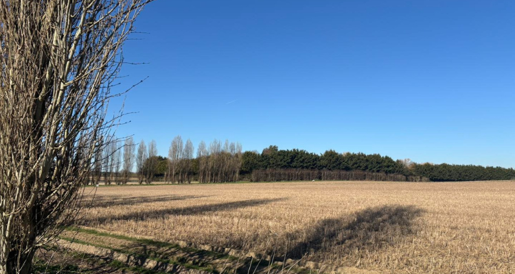 Stanhill Farm field in Kent.