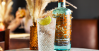🍸 Bank Holiday with Silent Pool Gin ✨