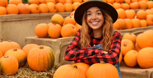 Pumpkin Patch At Hobbledown West London