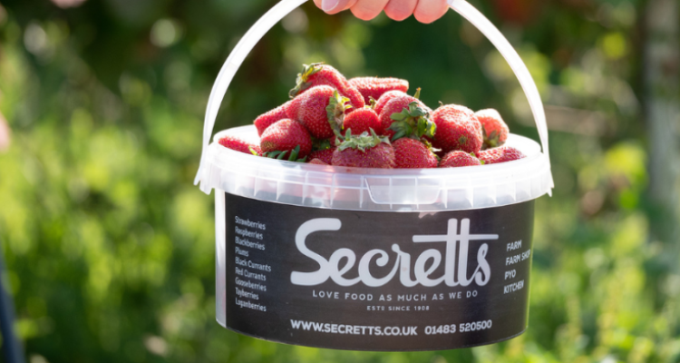 Basket of strawberries from Secretts in Surrey.