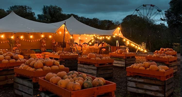 Pumpkin nights at Hobbledown Heath in Hounslow.