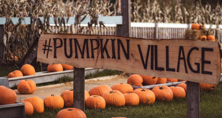 Pumpkin village sign in Chelmsford.