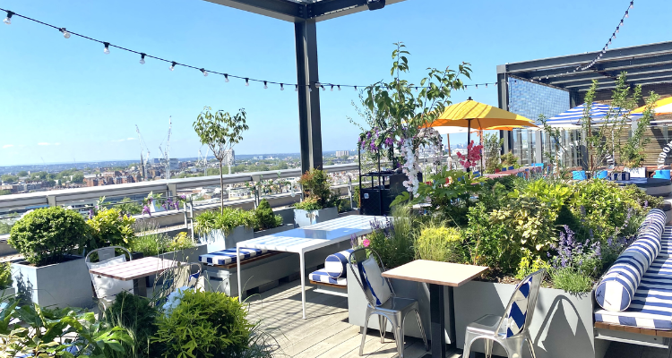 Terrace at Skylark Roof Garden.