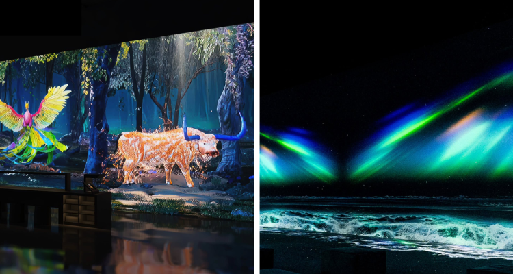 Collage of displays at Arte Museum New York.