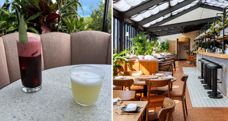 A collage of two tropical cocktails next to a shot of Llama Inn Hoxton's airy rooftop, fronting grand foliage and vintage wooden furniture.
