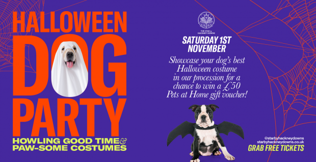 The Star by Hackney Downs Halloween Dog Party