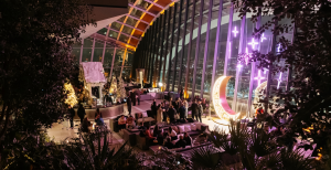 SKY GARDEN FESTIVE MUSIC NIGHTS