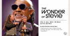 The Wonder of Stevie