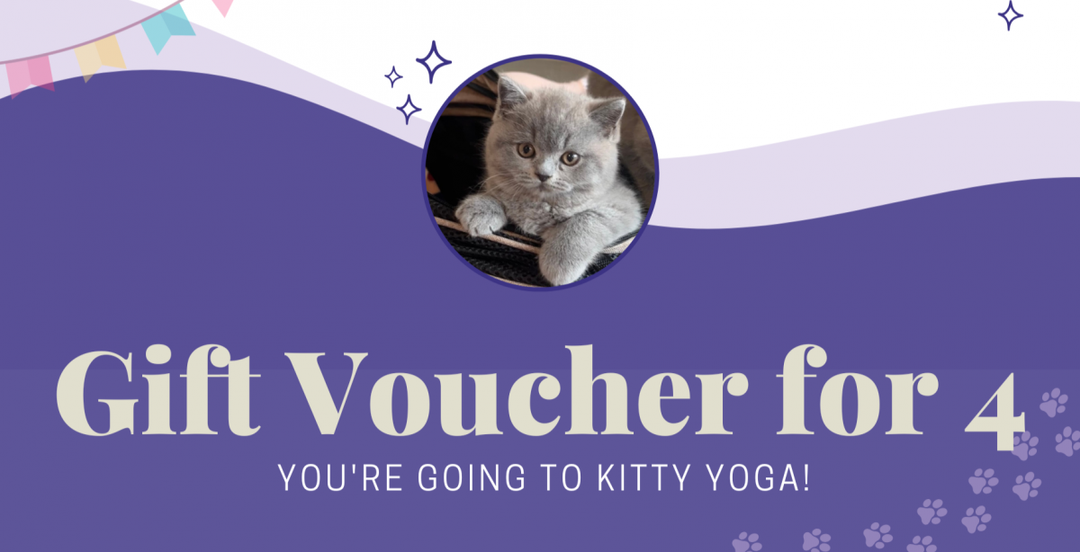Kitty Yoga Experience for 4 - LONDON
