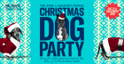 Star by Hackney Downs Christmas Dog Party