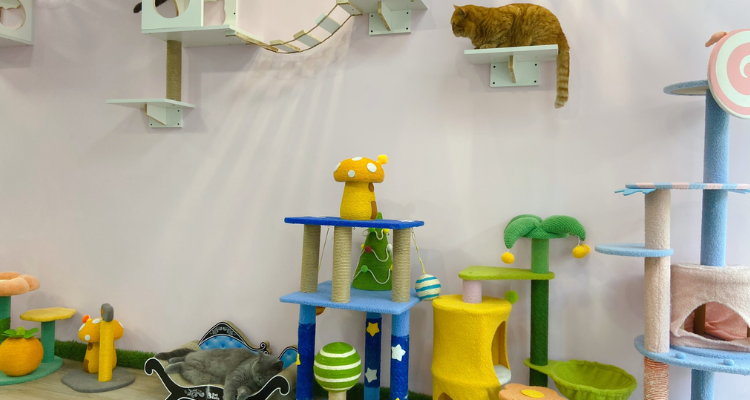 Meow Cafe Glasgow interior.