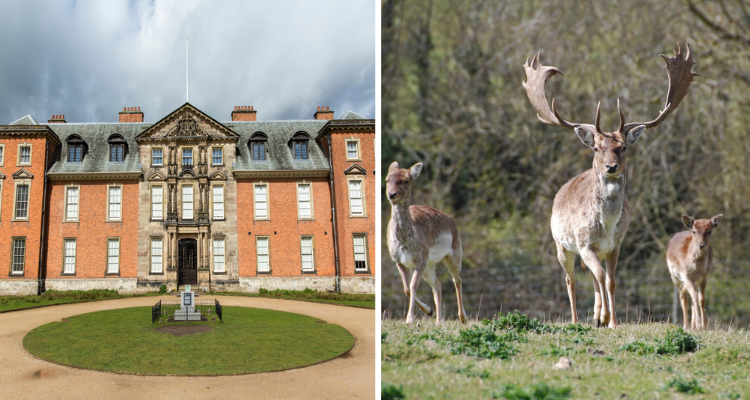Dunham Massey house and deer park.