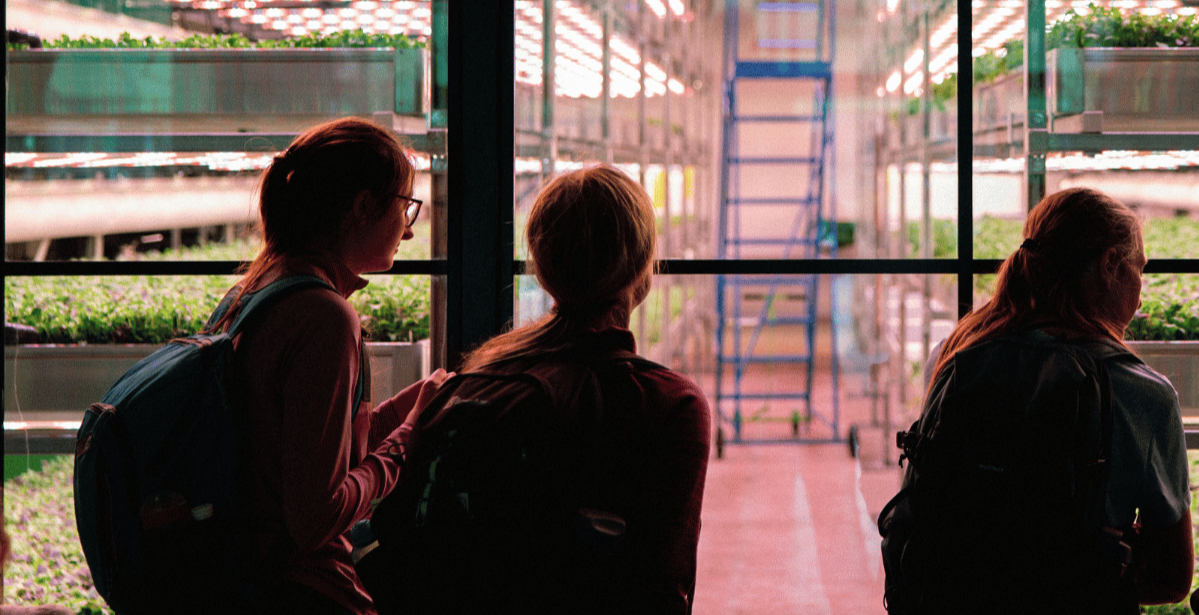 BOOK A VERTICAL FARM TOUR 11am-12pm - Corner Corner
