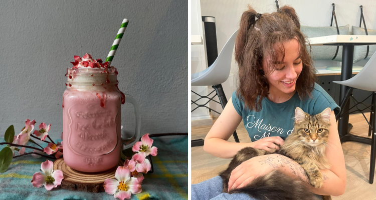 Drink and cat at Maison de Moggy Edinburgh.