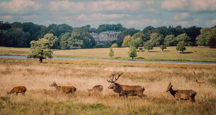 Grounds at at Tatton Park.