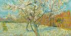 Paint A Pic: Van Gogh’s Pink Peach Tree