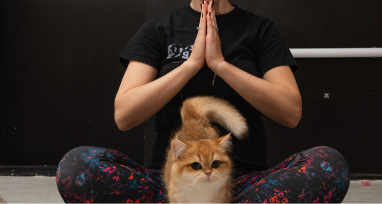 Kitty Yoga Manchester.