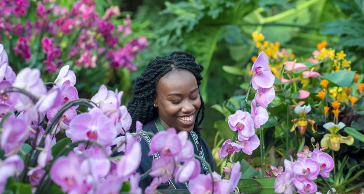 The Orchid Festival at Kew.