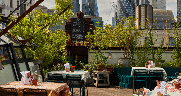 The Culpeper rooftop.