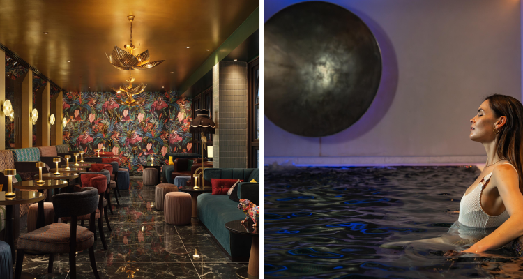 Owl and Monkey and the pool facilities.