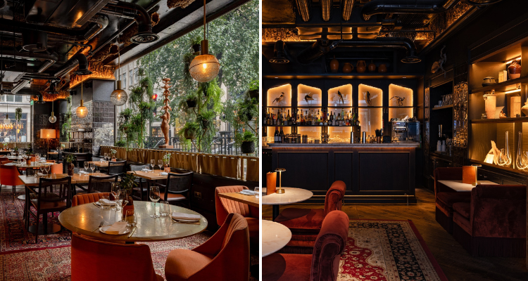 A collage of Fuego Bar Fitzrovia and Arros QD, boasting sleek, black interiors, hanging foliage and warm lighting.