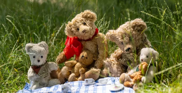 Teddy Bears' Picnic