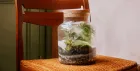 Terrarium Workshop