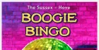Boogie Bingo  Karaoke