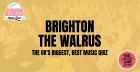 Sounds Familiar Music Quiz - Brighton