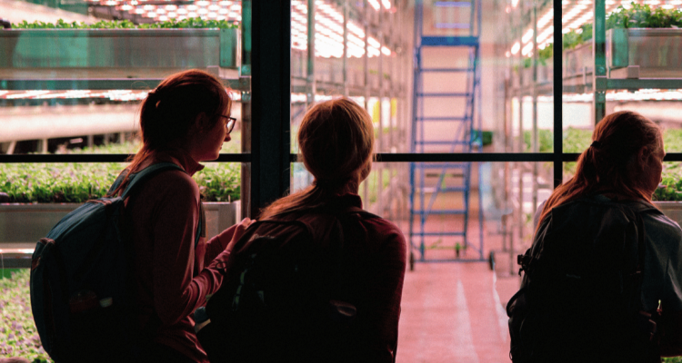 Three silouettes in front of vertical farming at Corner Corner.