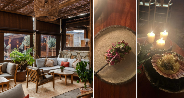 A collage of Pyro Borough's beach bar-like interiors, next to my colourful vegetable skewer and lobster served in a scallop shell.