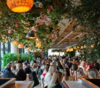 Pergola on The Wharf