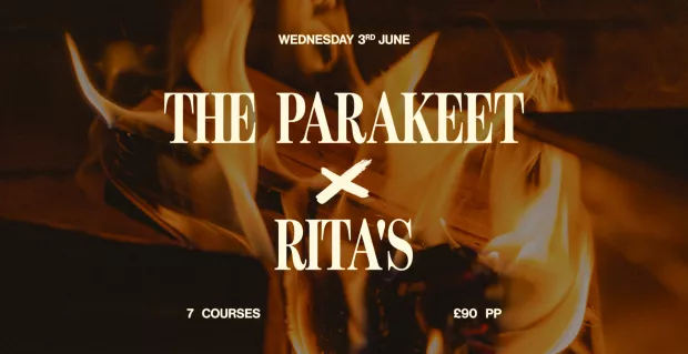The Parakeet X Rita's