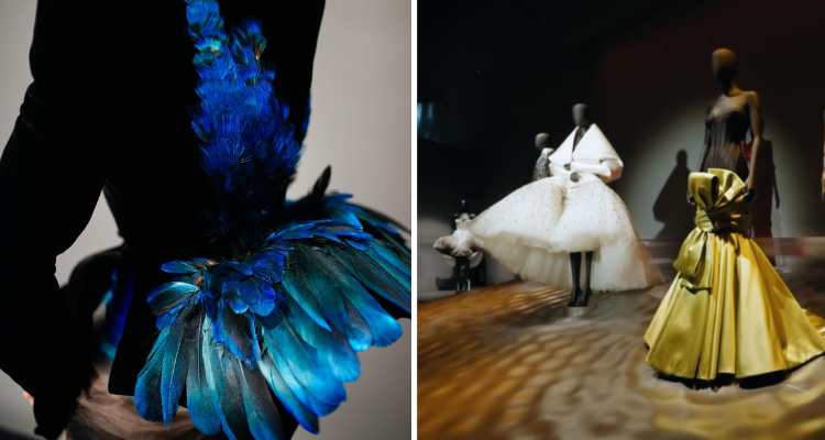 Schiaparelli dresses.