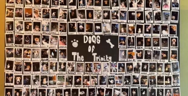 Dog Brunch at The Trinity Arms