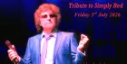 Simply Red-ish, a tribute