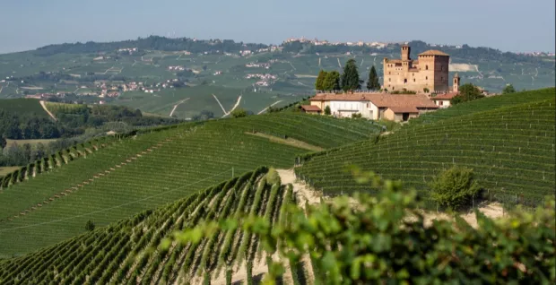 La Spinetta Wine Dinner @ Theo Randall Cucina Italiana