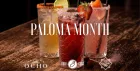 Paloma Month at The Last Talisman | 1 May - 31 May 🍊🍋🟩
