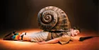 Bi-Curious George: Snail Trail