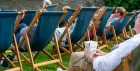 Butcombe Cinema Tour: The Crab & Boar - Zootropolis 2